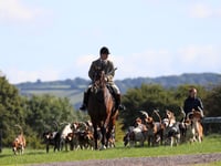 Cotley Hunt to host trail hunting demonstration amid calls for ban